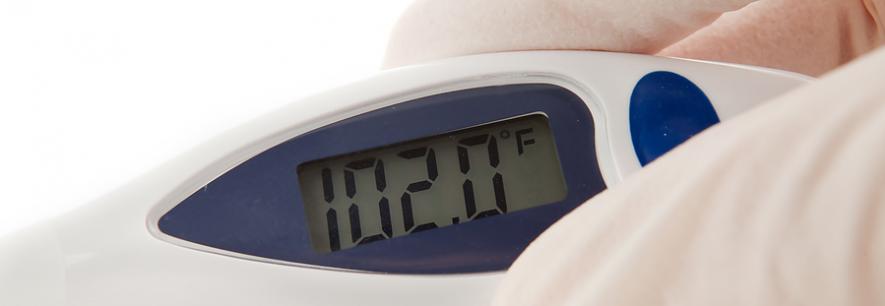 bigstock_Alatex_Gloved_Hand_Holding_An__6753957_3